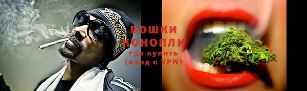 винт Карпинск
