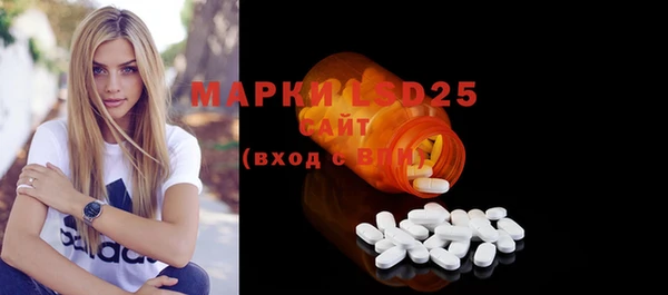 мдпв Каменногорск