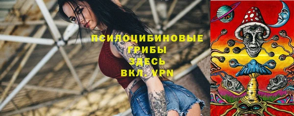 винт Карпинск