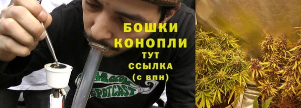 винт Карпинск