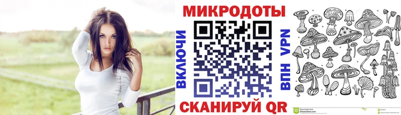 Псилоцибиновые грибы Psilocybe Коломна